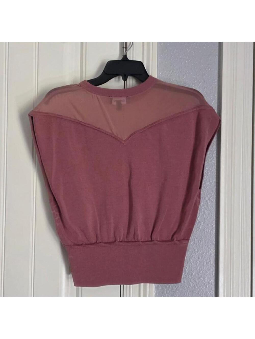 Express Women's Pink and Purple Crop-top